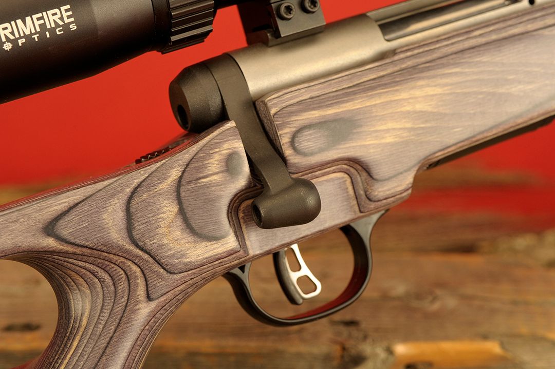 The Savage B.Mag in .17 Winchester Super Magnum