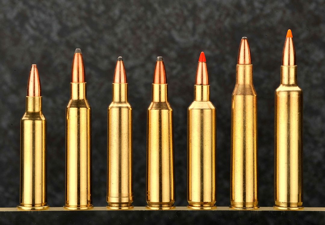 Six Interesting but Often Forgotten Varmint Cartridges | RifleMagazine